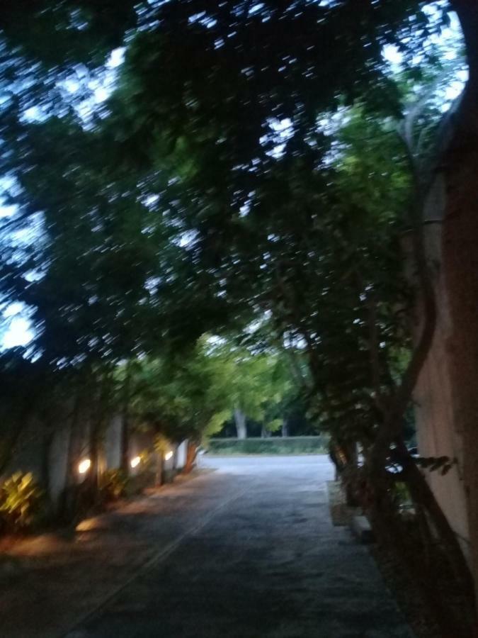 Hotel 41 Valladolid 바야돌리드 외부 사진